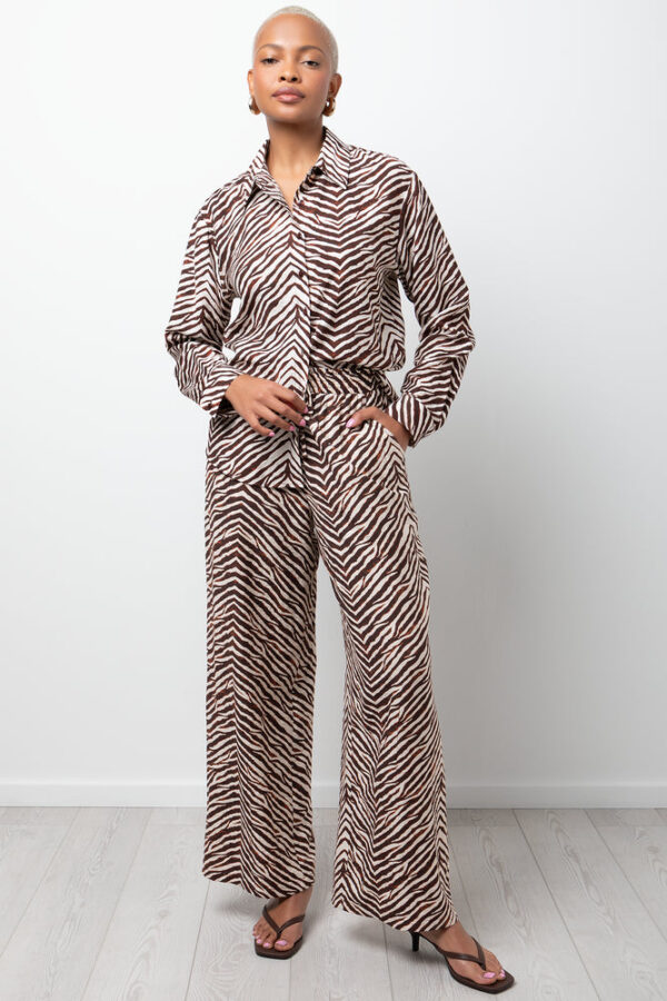 Women's Crinkle Viscose Zebra Print Pants - Brown